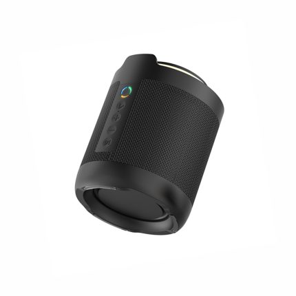Dyanora Flash 1 10W (2 * 5W) Bluetooth Speaker Ultra Clear Audio & Passive bass Radiator, RGB Lights, Bluetooth V5.0, Upto 7 hrs of Play time, IPX5 Water Resistance, TWS(Black)